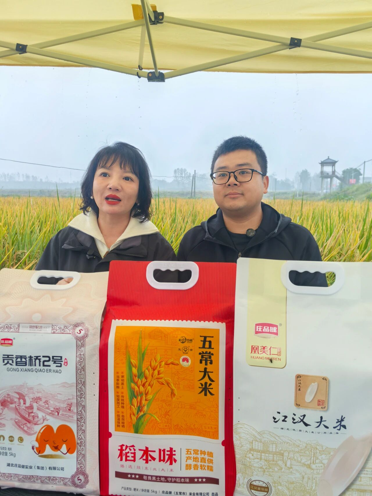 6901e5bfee73b 冰球突破-冰球电游奢华版_MG冰球游戏